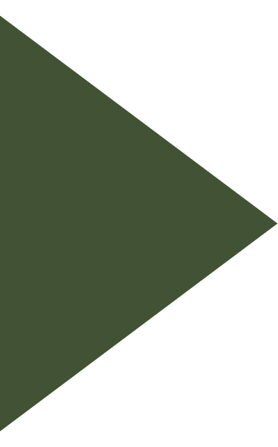 Triangulo Triangulo